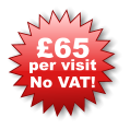 65 per visit No VAT!